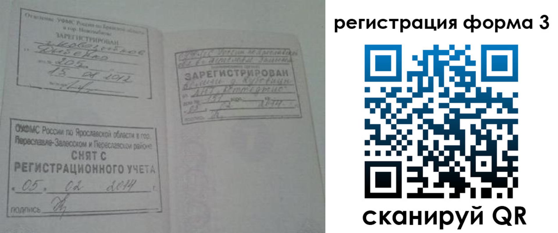прописка регистрация в Димитровграде