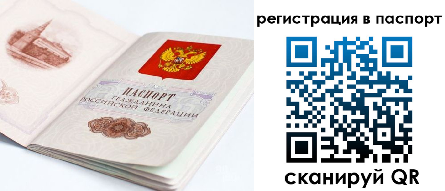 регистрация для школы в Димитровграде